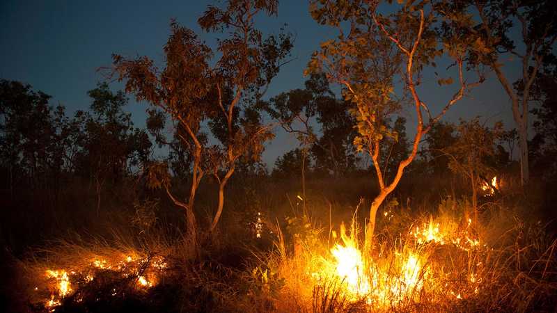 A raging bushfire illuminates the night sky in the center of an open field.
