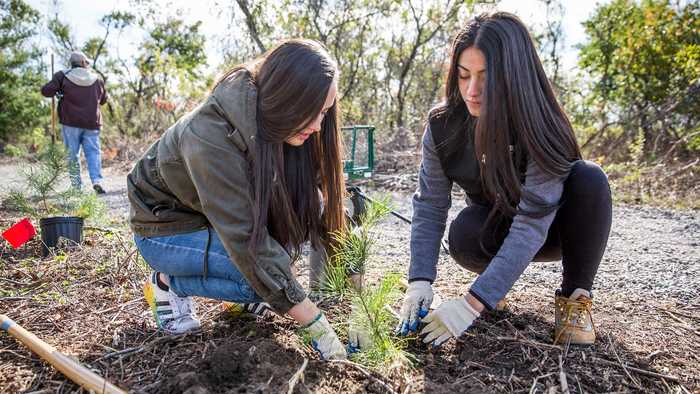 Two young women actively planting trees in a lush forest, contributing to environmental conservation and reforestation efforts.