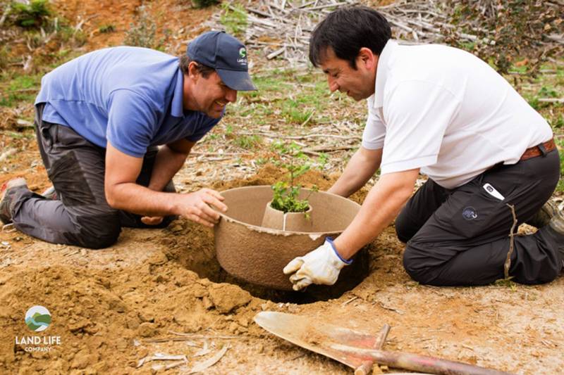 Two men planting a young tree in a dirt area, demonstrating teamwork and environmental stewardship.
