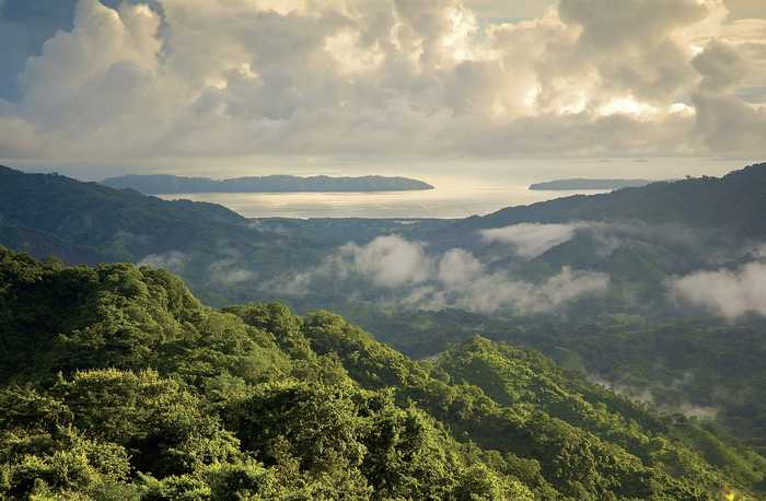 Tropical dry forest and the Gulf of Nicoya, during the rainy season;