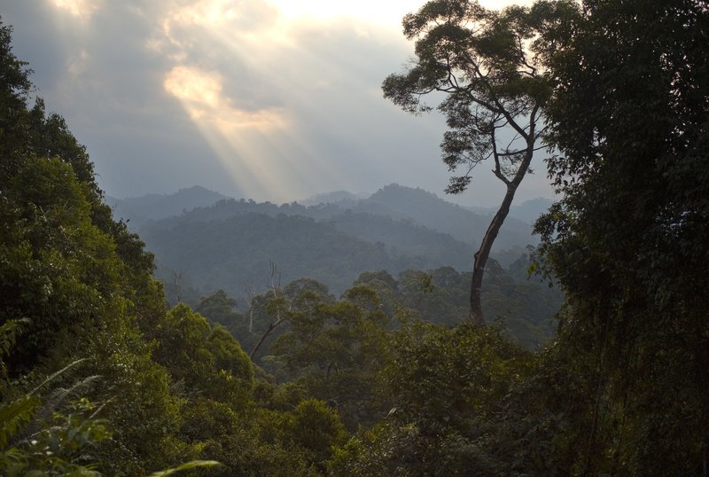 Sunlight breaking through clouds over majestic mountains.