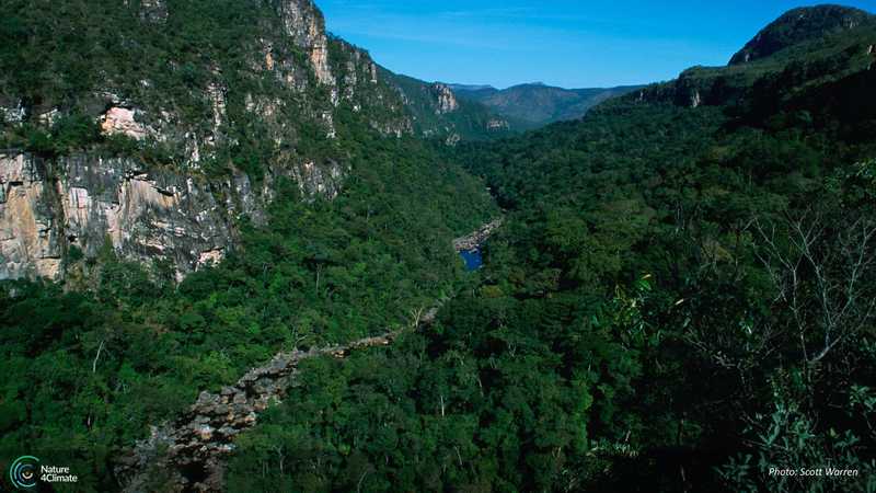 Scenic view of a river cutting through a canyon in the jungle, highlighting the wonders of nature.