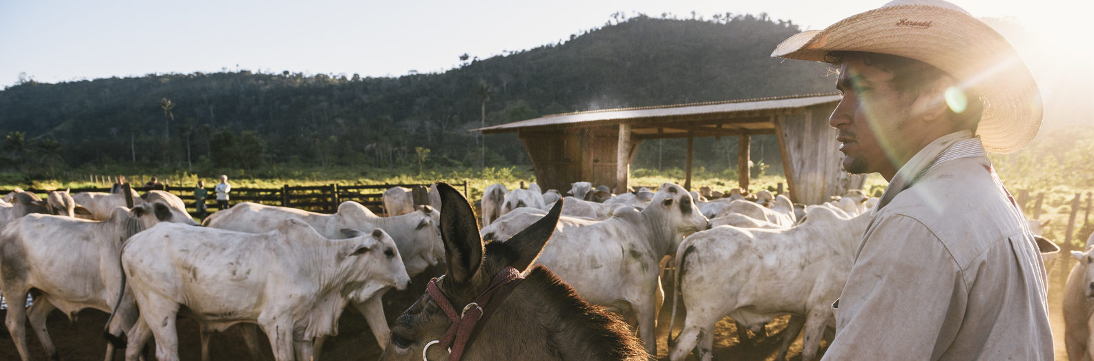 Photo credit: © Kevin Arnold