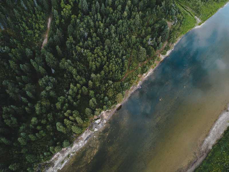 Aerial view of river winding through lush forest.