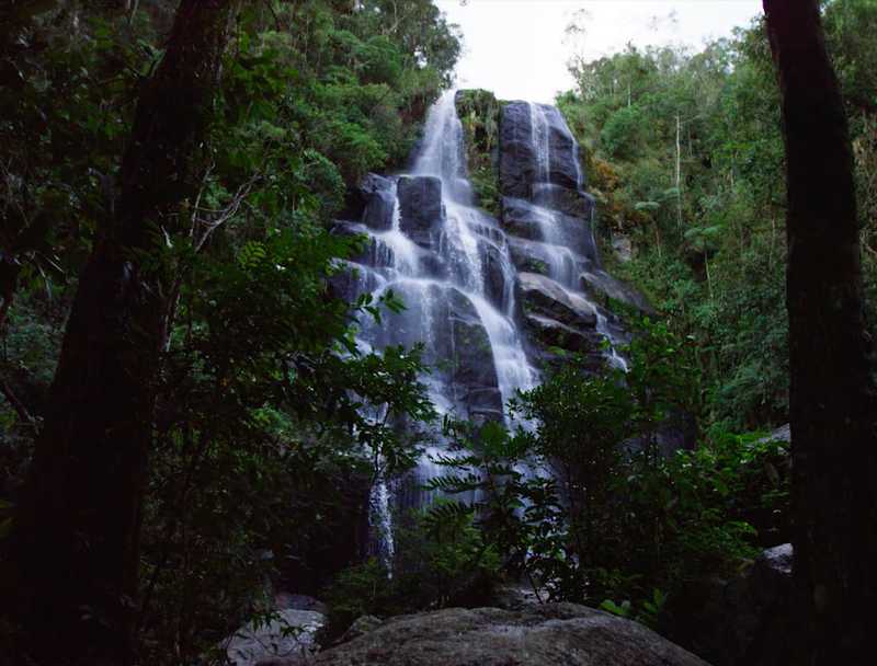 serene waterfall flowing in a lush forest setting, surrounded by tall trees and vibrant greenery.