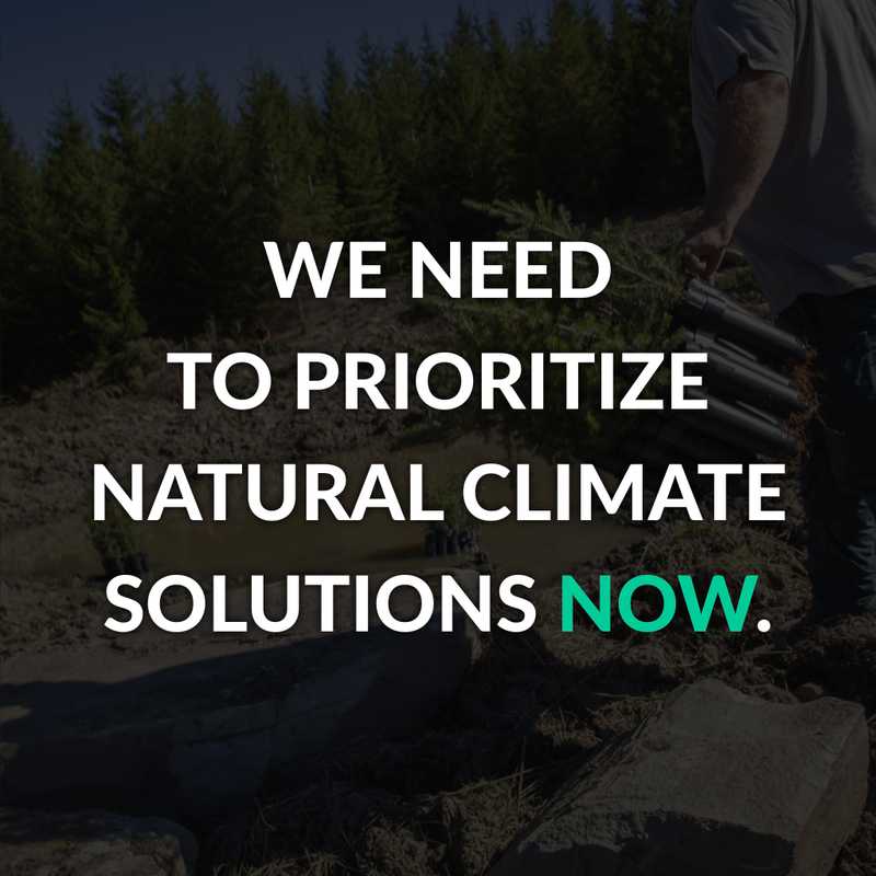 Image: A landscape with wind turbines and solar panels. Text: 