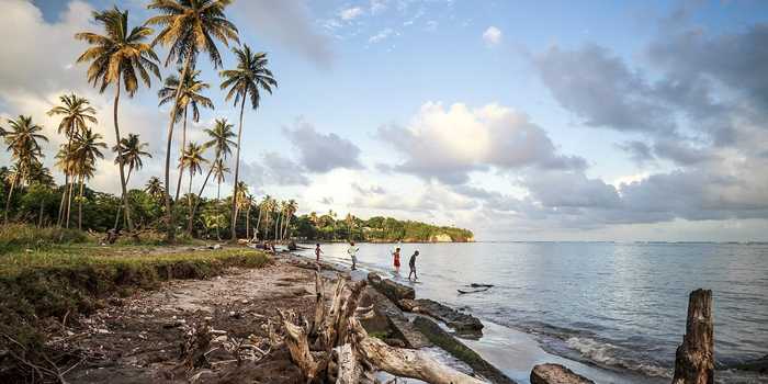 People leisurely walking on a beach, surrounded by tall palm trees, enjoying the sun and the serene coastal atmosphere.