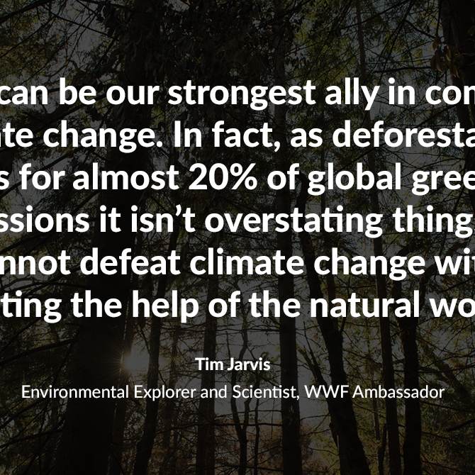 A motivational quote by Tim James displayed on a visually appealing background, inspiring personal growth and resilience.