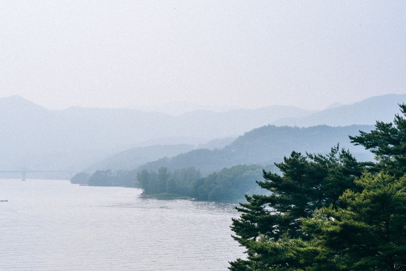 A serene boat floats on calm water surrounded by lush green trees, embodying tranquility and nature's beauty.