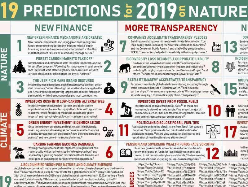 A graphic showing 2019 predictions for nature and the environment, including climate change impacts and conservation efforts.