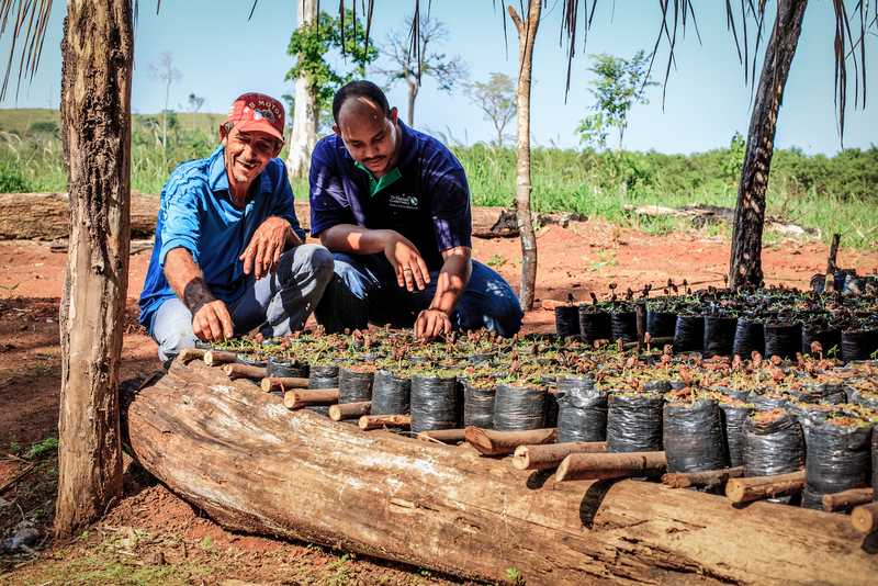 engaged in agricultural work on a tree farm, highlighting their commitment to nurturing young trees.