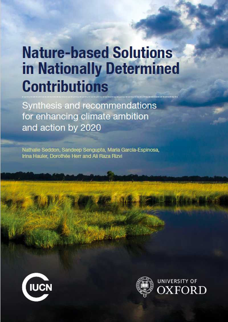 Image showing nature-based solutions in nationally determined contributions to combat climate change.