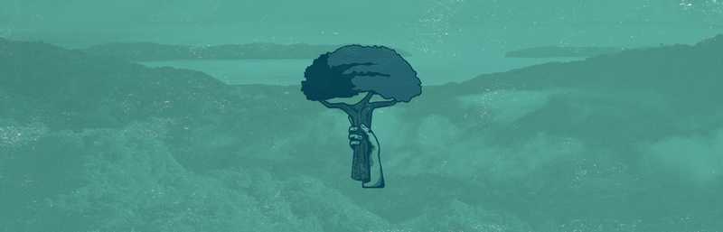 A poster featuring a tree standing tall in the heart of a lush forest.