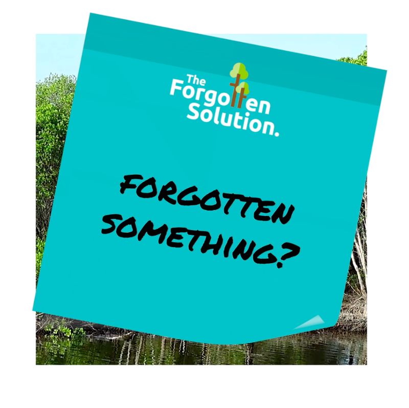 post card of forgotten something with lagoon background