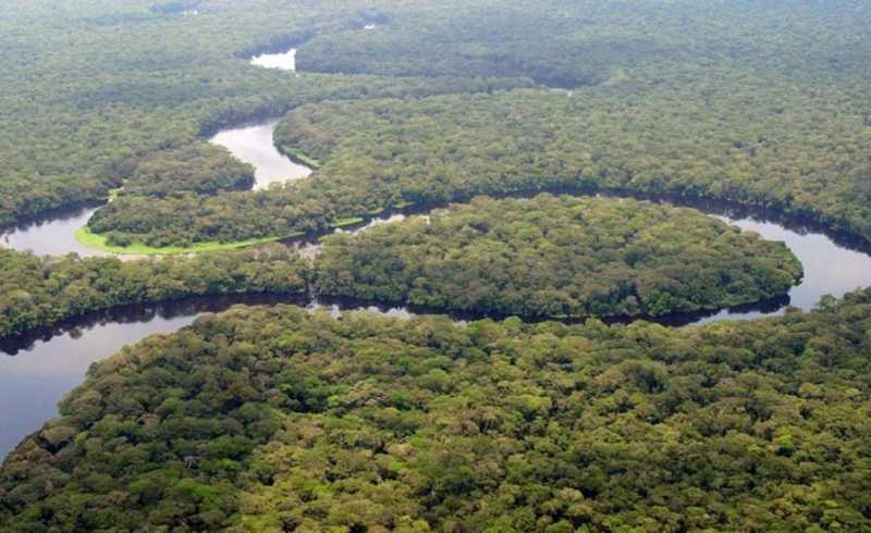 Aerial perspective of a serene river flowing gracefully amidst a dense, vibrant forest.