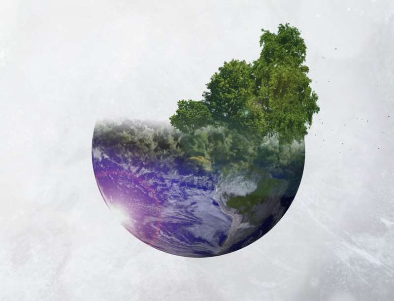 The earth in a half-circle with trees and grass.