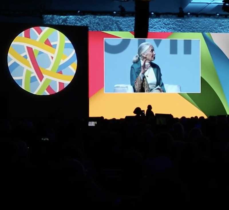 Female speaker addressing audience with large screen backdrop.