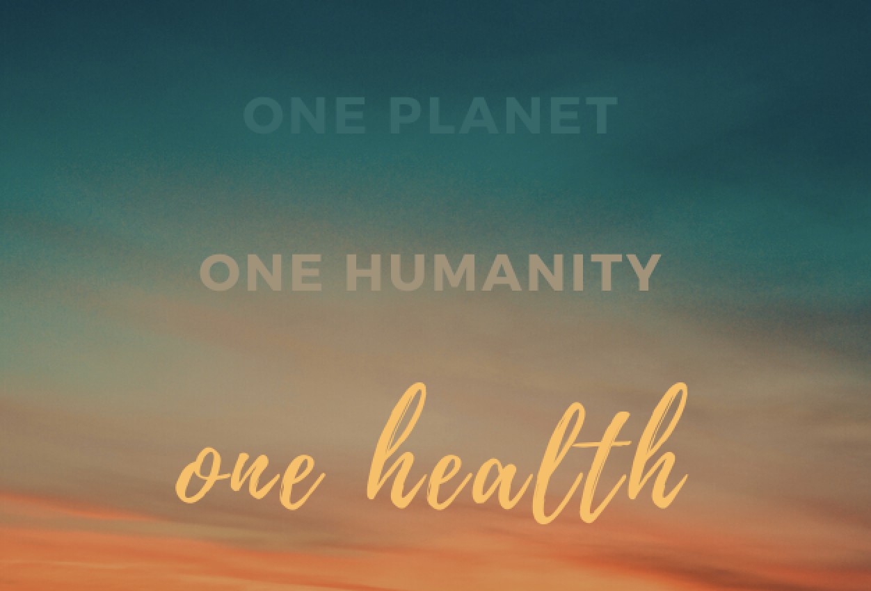 Image showing a globe with diverse human silhouettes coming together and the words 'one planet, one humanity, one health'.