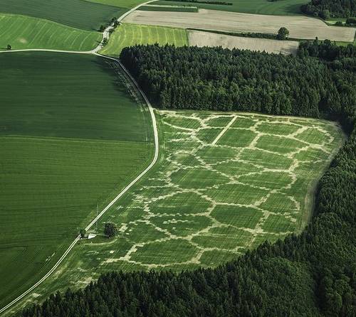 Aerial view of a green field bisected by a winding road, showcasing the landscape's natural beauty and symmetry.