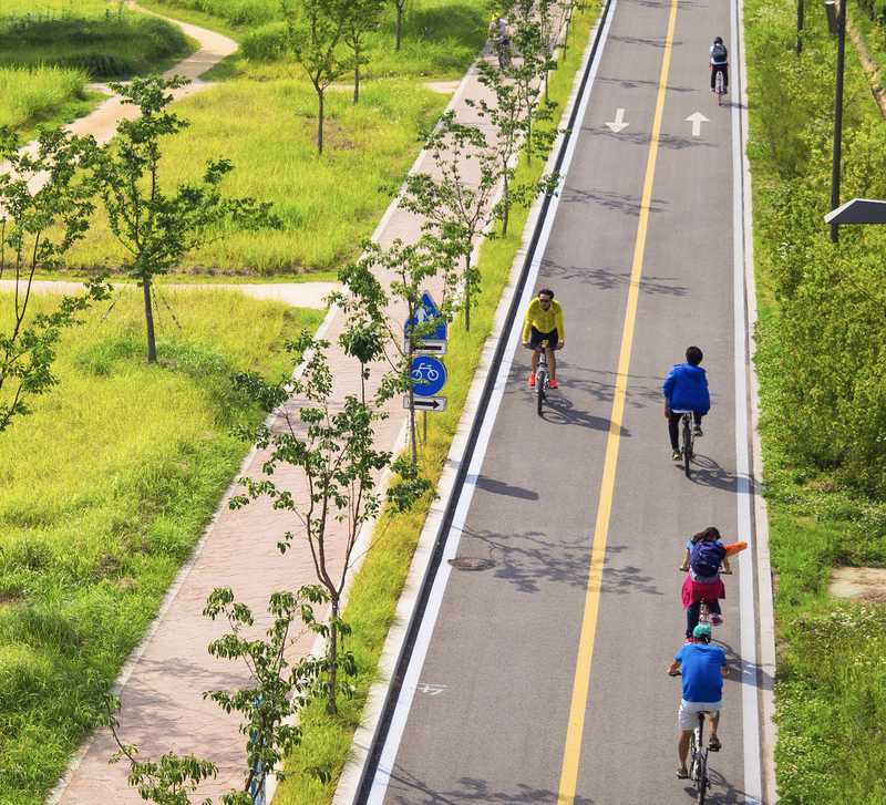 Several cyclists riding on a road, enjoying a sunny day together.