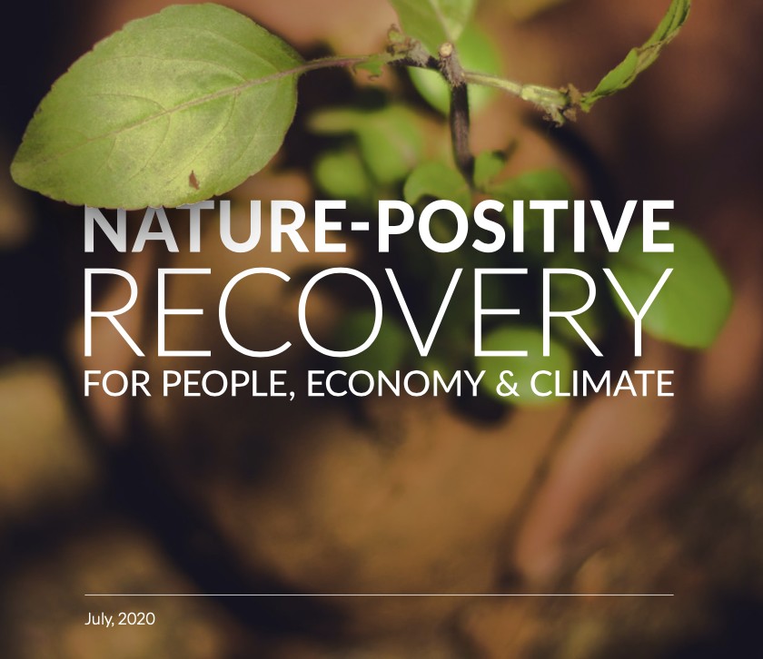 An image of a thriving ecosystem, demonstrating a nature-positive recovery for people, economy, and climate.