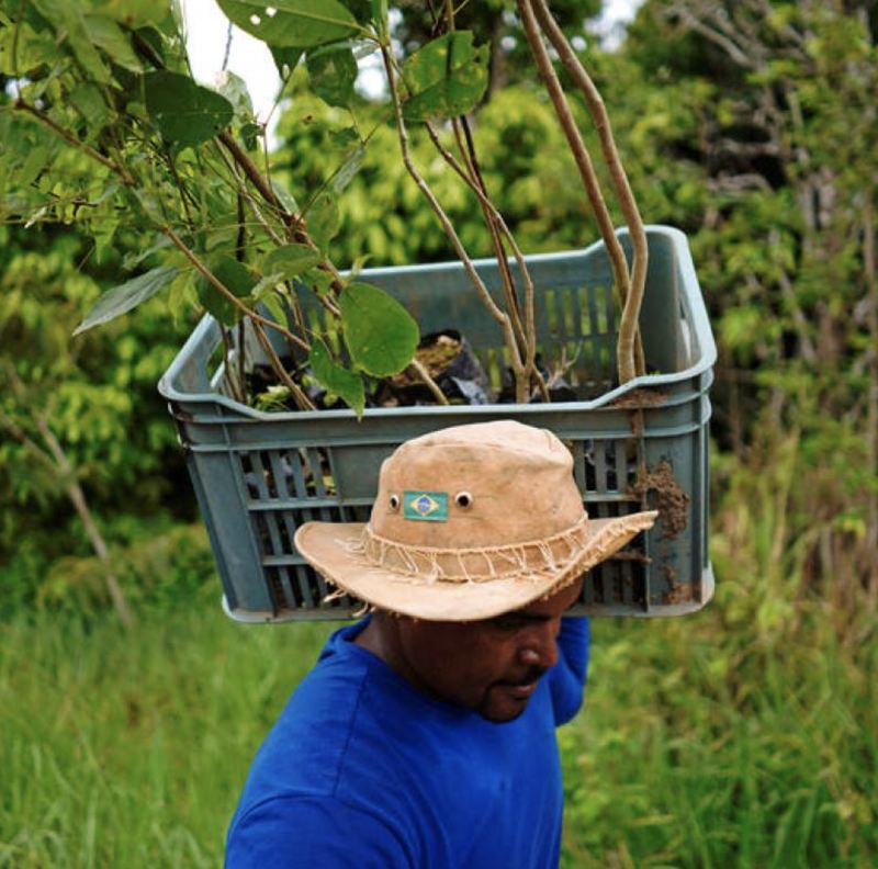 A man carrying a basket of plants on his head, showcasing traditional farming practices in a rural setting.
