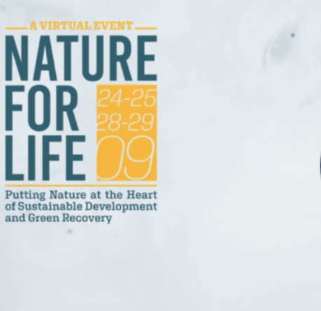 A vibrant landscape showcasing the beauty of nature, symbolizing the theme of 'Nature for Life 2019' in a harmonious setting.