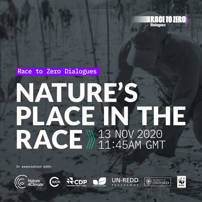 nature place poster