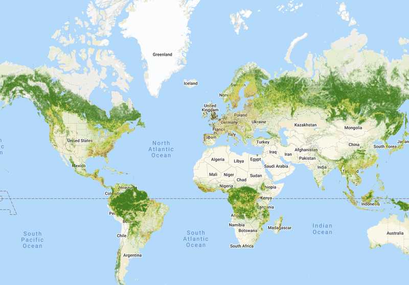An illustrated world map featuring abundant green vegetation, symbolizing the Earth's ecological diversity and natural resources.