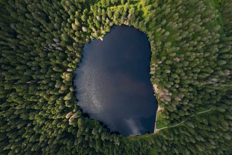 WBCSD: Accelerating business solutions for climate and nature - mapping report