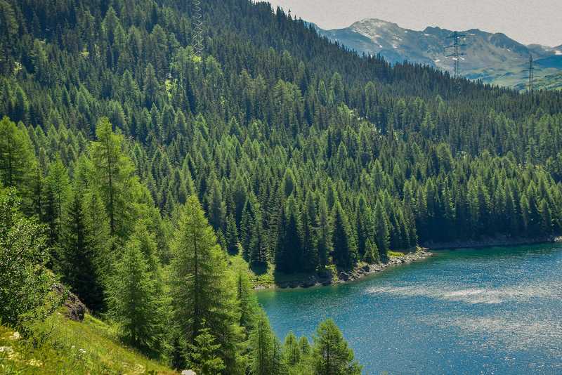 Tranquil lake with trees and mountains in the background.