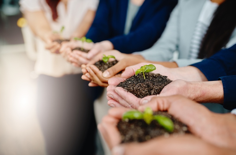 A group of professionals holding small plants, symbolizing growth and sustainability in the business world.