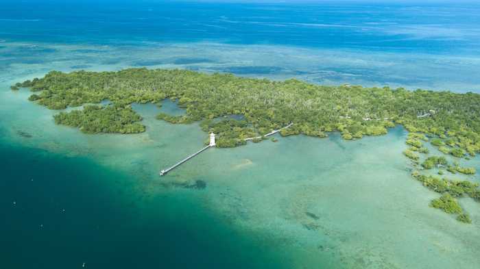 UNEP, WEF, ELD and Vivid Economics: The State of Finance of Nature