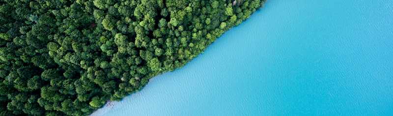 Aerial view of lush green forest and crystal blue water.