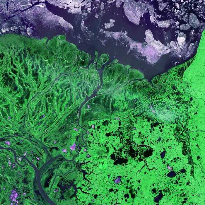 An overhead perspective of a vibrant green river flowing through a verdant landscape, highlighting nature's beauty.