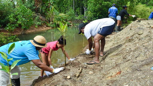 nature based solutions case study