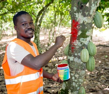 nature based solutions case study