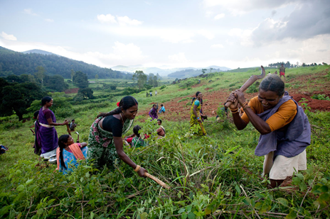 nature based solutions case study