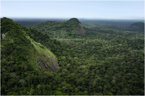 nature based solutions case study