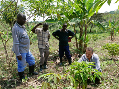 nature based solutions case study