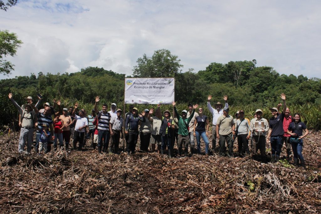 nature based solutions case study