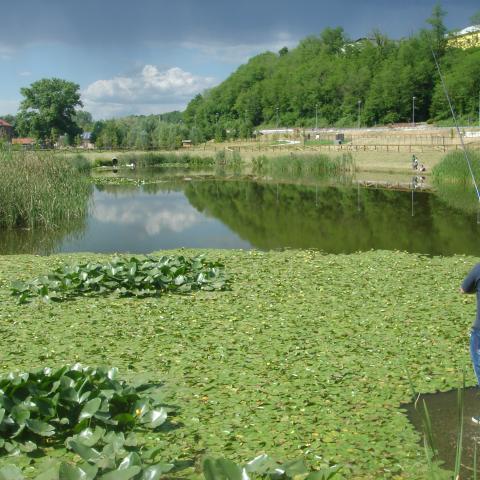 nature based solutions case study