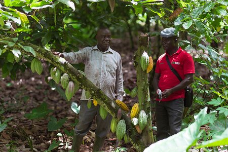 nature based solutions case study