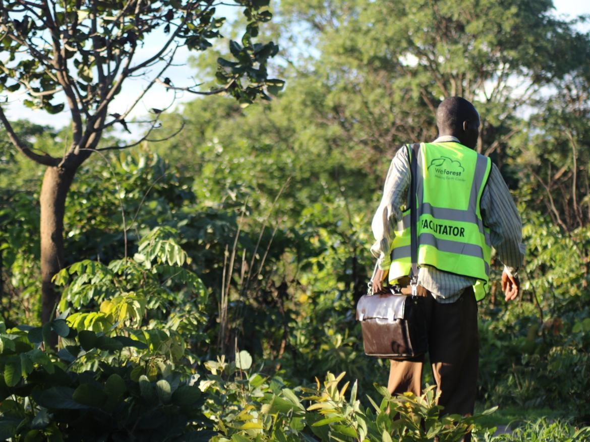 nature based solutions case study