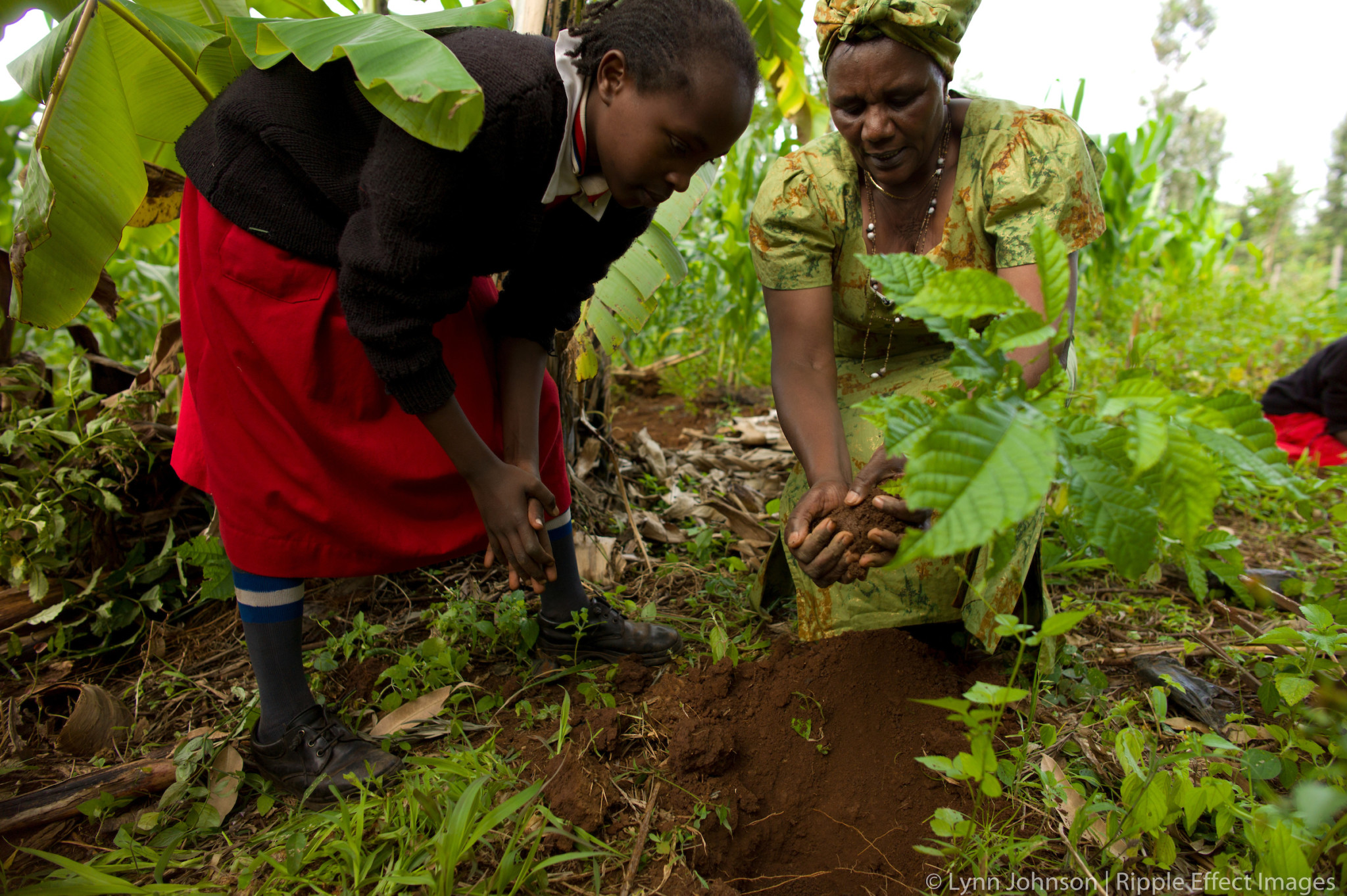 nature based solutions case study