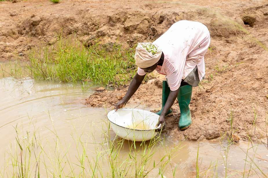 nature based solutions case study