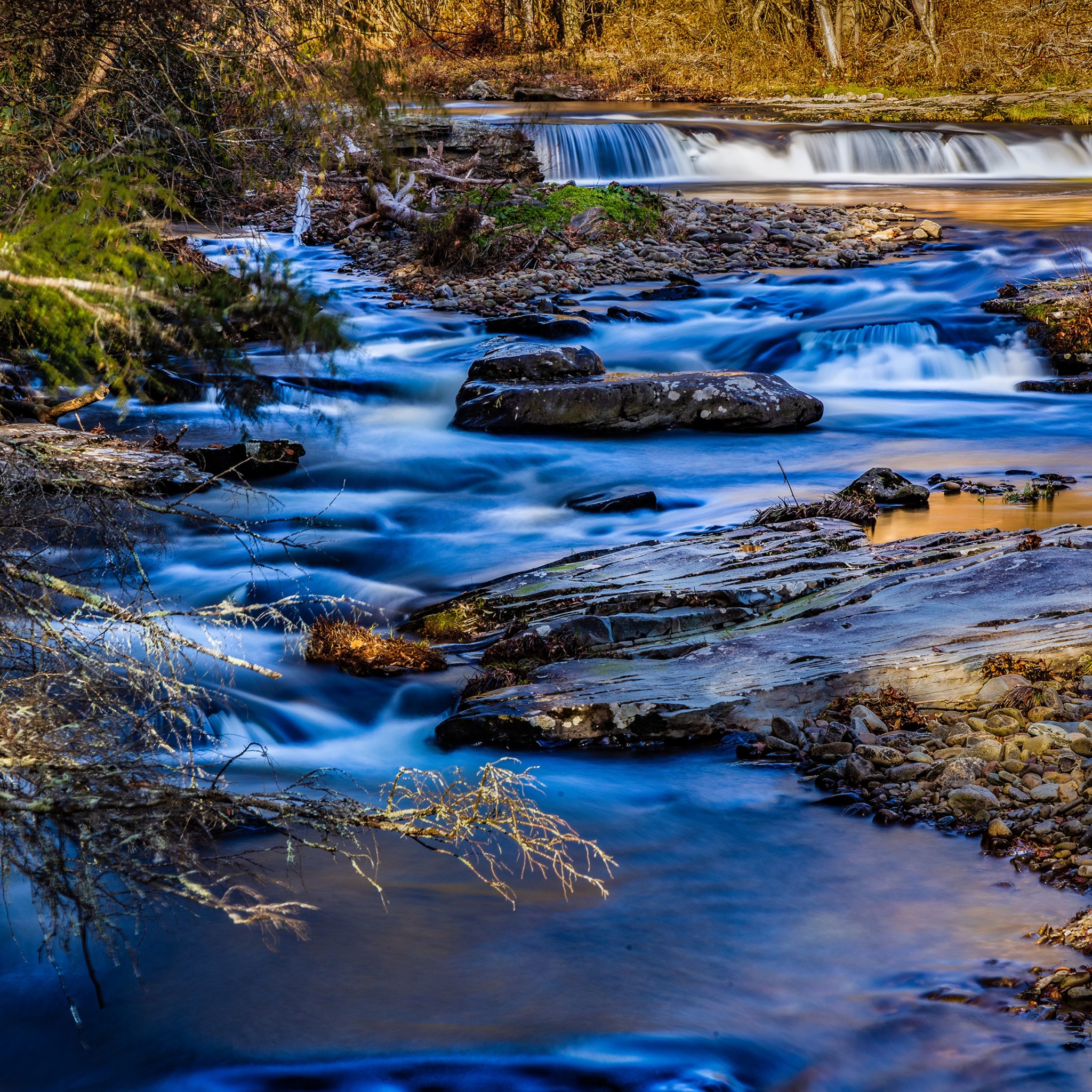 nature based solutions case study