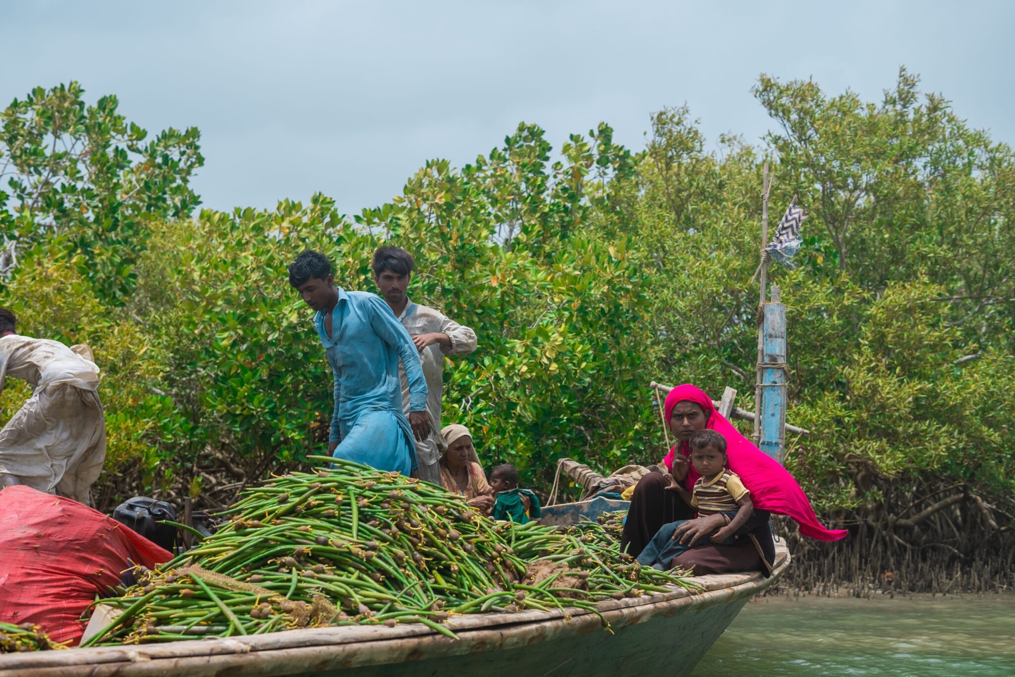 nature based solutions case study