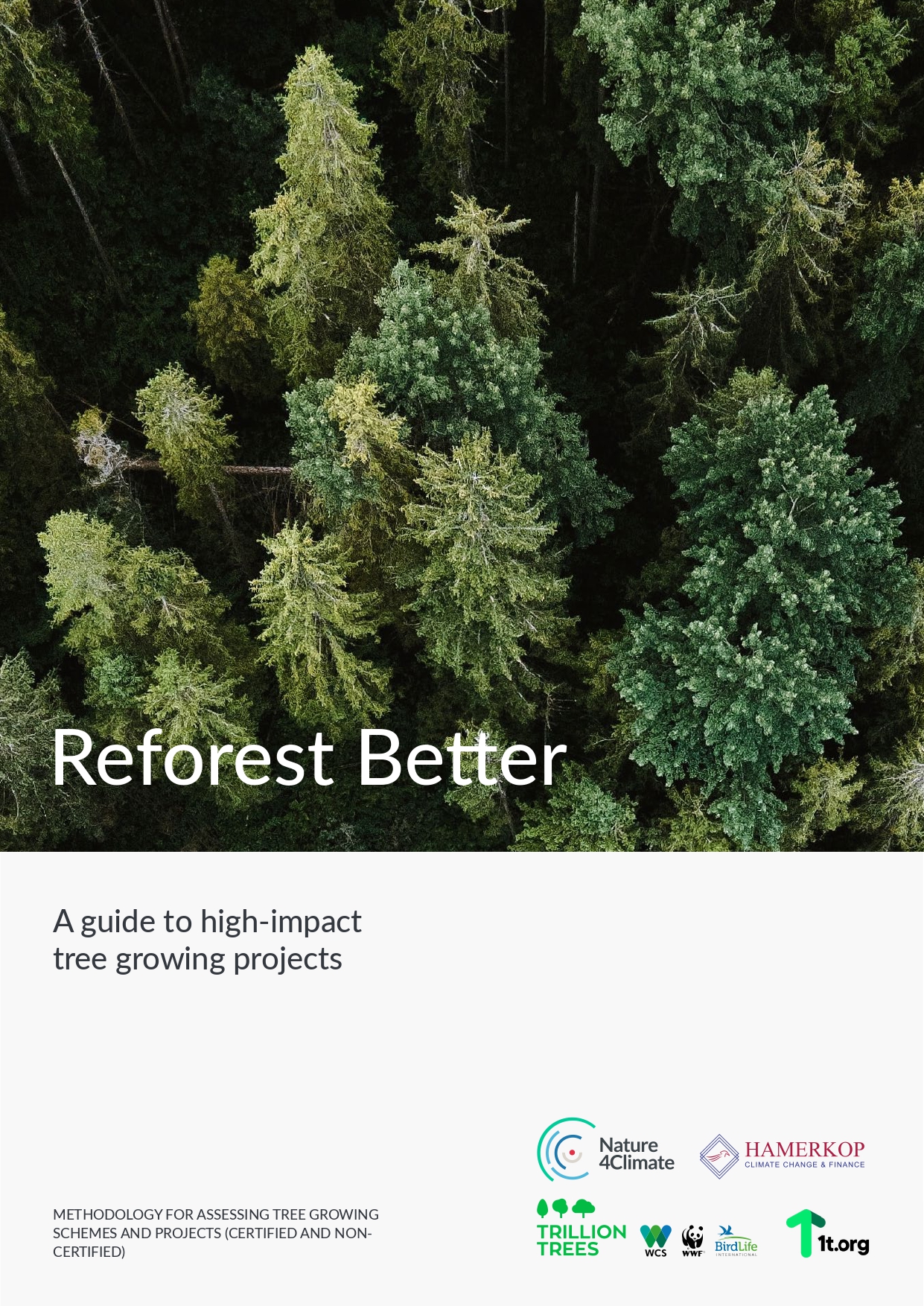 Reforest Better Guide