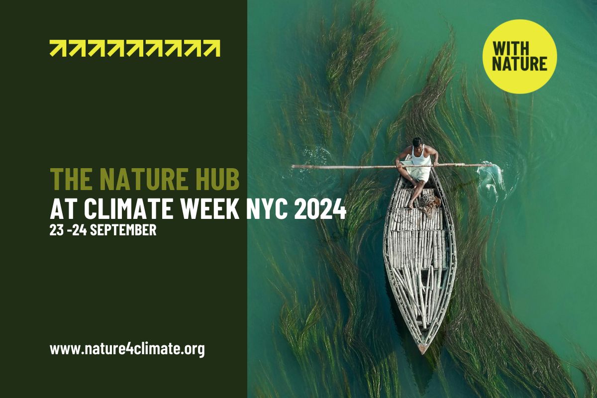 What to Expect from the Nature Hub at Climate Week NYC